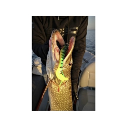 Przynęta Spro Iris Shocktail 40 cm / 140 g - Firetiger